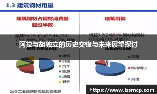 阿拉与胡独立的历史交锋与未来展望探讨